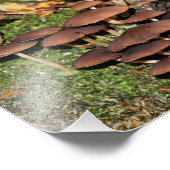 Bruine Paddenstoelen Moss 10x8 Natuur Foto Afdruk (Hoek)