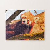 Bruine Pandaberen. Legpuzzel (Horizontaal)