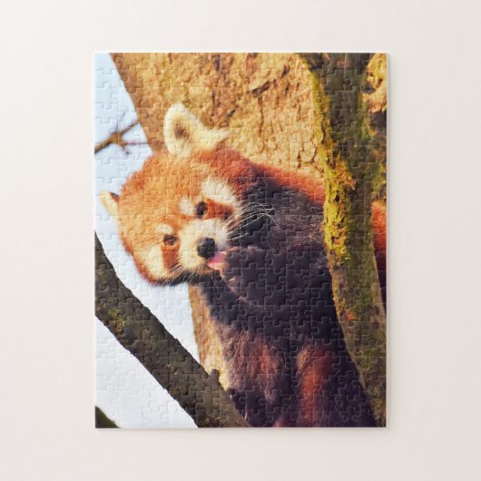 Bruine Pandaberen. Legpuzzel (Verticaal)