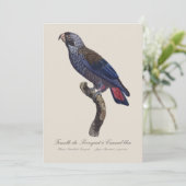 Bruine papegaai, Pionus fuscus Bedankkaart (Staand voorkant)