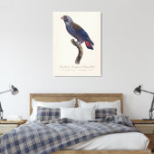 Bruine papegaai, Pionus fuscus Canvas Afdruk (Insitu (Slaapkamer))