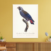 Bruine papegaai, Pionus fuscus Canvas Afdruk (Insitu (Woonkamer))