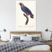 Bruine papegaai, Pionus fuscus Canvas Afdruk (Insitu (Slaapkamer))
