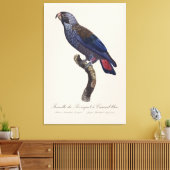 Bruine papegaai, Pionus fuscus Canvas Afdruk (Insitu (Woonkamer))