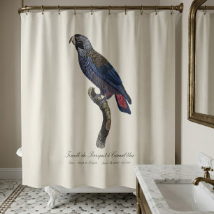 Bruine papegaai, Pionus fuscus Douchegordijn