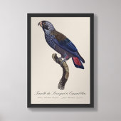 Bruine papegaai, Pionus fuscus Foto Afdruk