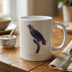 Bruine papegaai, Pionus fuscus Koffiemok