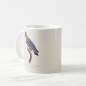 Bruine papegaai, Pionus fuscus Koffiemok (Voorkant links)