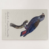 Bruine papegaai, Pionus fuscus Legpuzzel (Horizontaal)