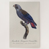 Bruine papegaai, Pionus fuscus Legpuzzel (Verticaal)