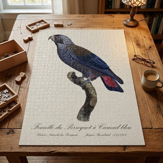 Bruine papegaai, Pionus fuscus Legpuzzel