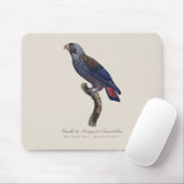 Bruine papegaai, Pionus fuscus Muismat (Met muis)