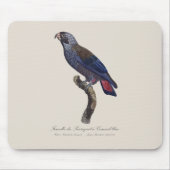 Bruine papegaai, Pionus fuscus Muismat (Voorkant)