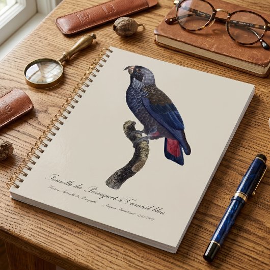 Bruine papegaai, Pionus fuscus Planner
