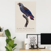 Bruine papegaai, Pionus fuscus Poster (Thuiskantoor)