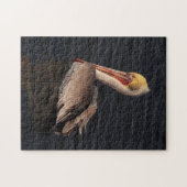 Bruine pelicaanse wilde dieren in het wild legpuzzel (Horizontaal)