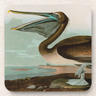 Bruine Pelican Birds of America Audubon Print Bier Onderzetter