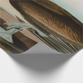 Bruine Pelican Birds of America Audubon Print Cadeaupapier (Hoek)