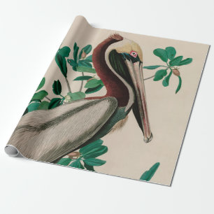 Bruine Pelican Birds of America Audubon Print Cadeaupapier