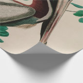 Bruine Pelican Birds of America Audubon Print Cadeaupapier (Hoek)