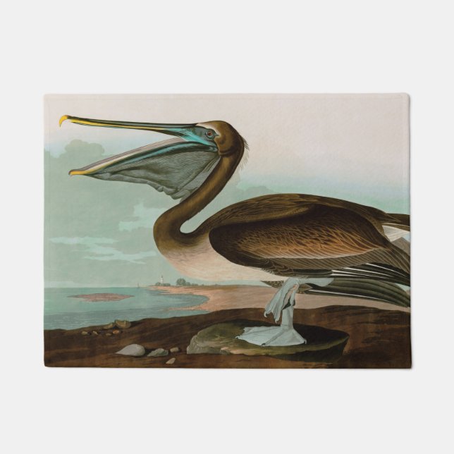 Bruine Pelican Birds of America Audubon Print Deurmat (Voorkant)