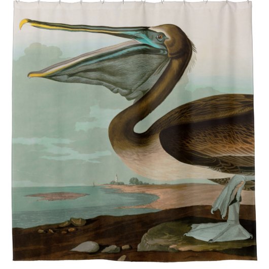 Bruine Pelican Birds of America Audubon Print Douchegordijn (Voorkant)