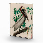 Bruine Pelican Birds of America Audubon Print Fotoblokken (Rechts)