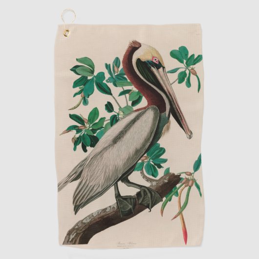 Bruine Pelican Birds of America Audubon Print Golfhanddoek (Voorkant)