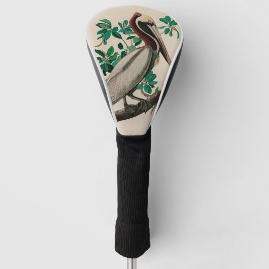 Bruine Pelican Birds of America Audubon Print Golfheadcover (Voorkant)