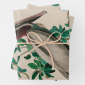 Bruine Pelican Birds of America Audubon Print Inpakpapier Vel (In situ)