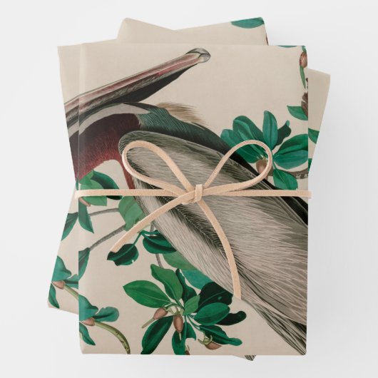 Bruine Pelican Birds of America Audubon Print Inpakpapier Vel (In situ)