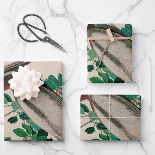 Bruine Pelican Birds of America Audubon Print Inpakpapier Vel (Voorkant)