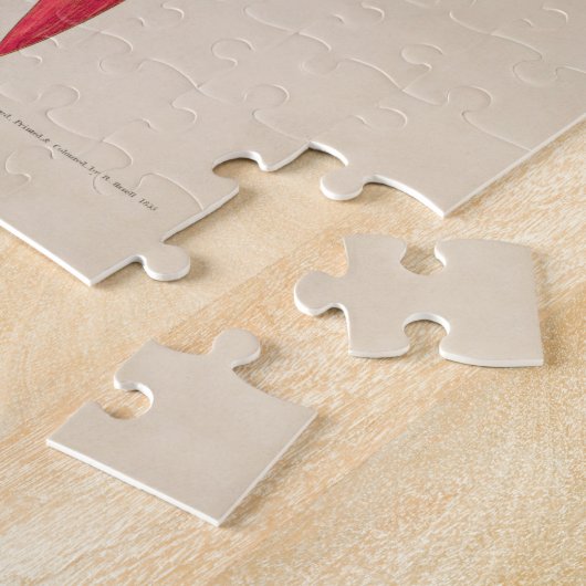 Bruine Pelican Birds of America Audubon Print Legpuzzel (Zijkant)