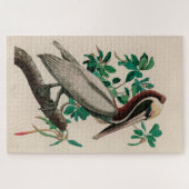 Bruine Pelican Birds of America Audubon Print Legpuzzel (Horizontaal)