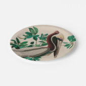 Bruine Pelican Birds of America Audubon Print Papieren Bordje (Gekanteld)