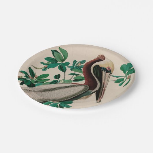 Bruine Pelican Birds of America Audubon Print Papieren Bordje (Gekanteld)