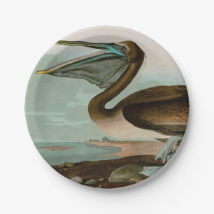 Bruine Pelican Birds of America Audubon Print Papieren Bordje