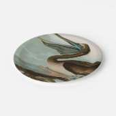 Bruine Pelican Birds of America Audubon Print Papieren Bordje (Gekanteld)