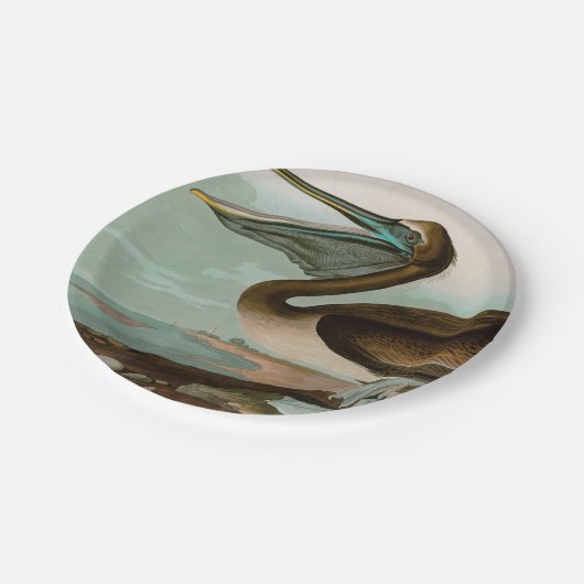 Bruine Pelican Birds of America Audubon Print Papieren Bordje (Gekanteld)