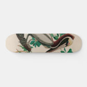 Bruine Pelican Birds of America Audubon Print Persoonlijk Skateboard (Horizontaal)