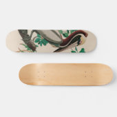 Bruine Pelican Birds of America Audubon Print Persoonlijk Skateboard (Horizontaal)