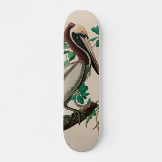 Bruine Pelican Birds of America Audubon Print Persoonlijk Skateboard (Voorkant)