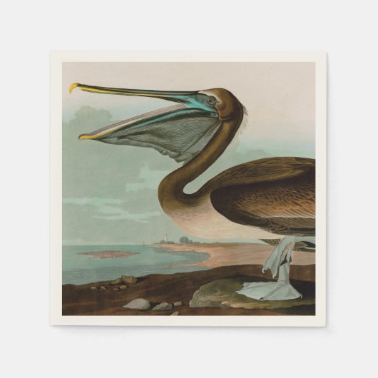 Bruine Pelican Birds of America Audubon Print Servet (Voorkant)