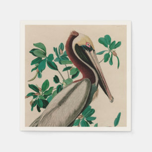 Bruine Pelican Birds of America Audubon Print Servet