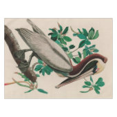 Bruine Pelican Birds of America Audubon Print Tafelkleed (Voorkant (Horizontaal))