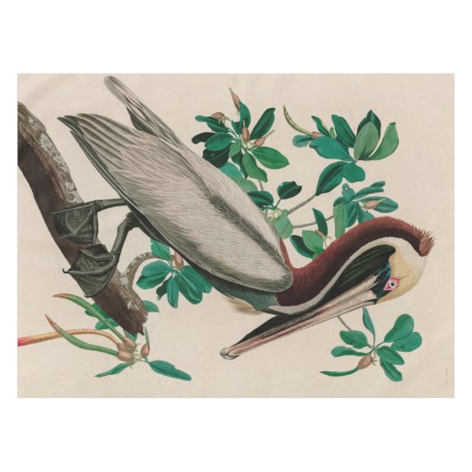 Bruine Pelican Birds of America Audubon Print Tafelkleed (Voorkant (Horizontaal))