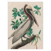 Bruine Pelican Birds of America Audubon Print Tafelkleed (Voorkant)