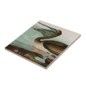 Bruine Pelican Birds of America Audubon Print Tegeltje (Zijkant)