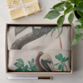 Bruine Pelican Birds of America Audubon Print Tissuepapier (Geschenk)