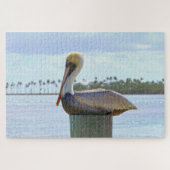 Bruine Pelican en palmbomen Legpuzzel (Horizontaal)